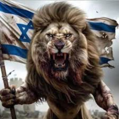 Ace Ventura & Zen Mechanics - Come With Us (Dvirko Remix)