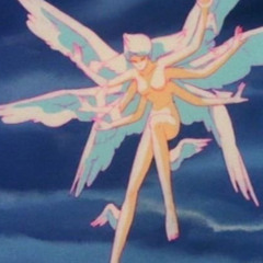 Butterfly Why