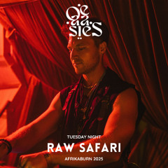 Raw Safari - OE-AA-SIES - Tuesday Night @ Afrikaburn 2025