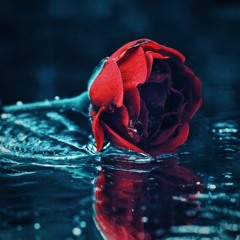 When Love Falls