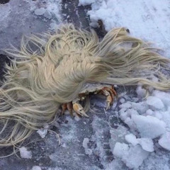 Metro Winter Wundleland