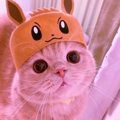 RANDOM PARA MIX BRUV (▰˘◡˘▰)