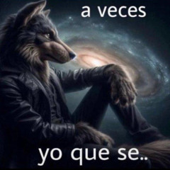 NO LOVE