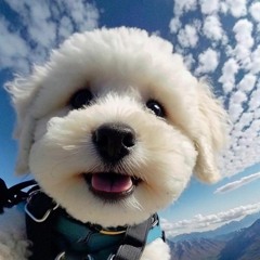 last discord night /aj