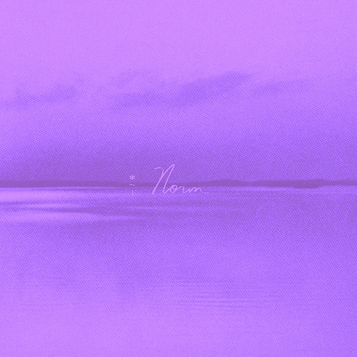 andy shauf - wasted on you (slowed + reverb)