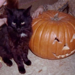 gut me like a jack o'lantern