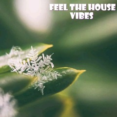 Feel the House VIbes