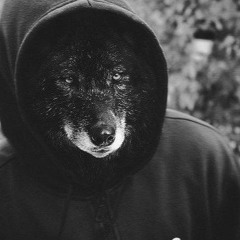 DISS на максима
