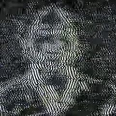 doë dump dammed