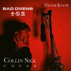 BAD OMENS - Never Know (Collin Silk Cover)