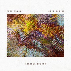 PREMIERE: John Plaza - Fussy [Liminal Spaces]