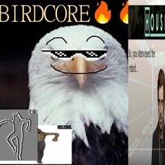 Moldee Hawtpockit - BIRDCORE