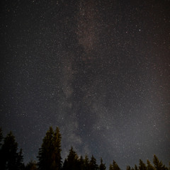 Midnight Dreams