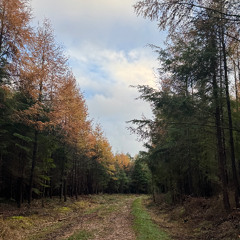 Don't get lost along the way