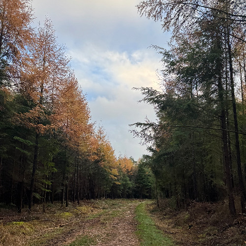 Don't get lost along the way