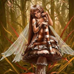 A Fairy Ate My Mushrooms