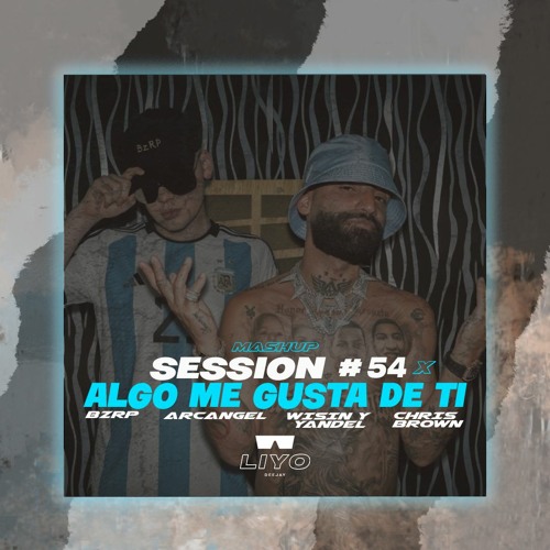 ARCANGEL BZRP SESION #54 X ALGO ME GUSTA DE TÍ (LIYO Mashup)