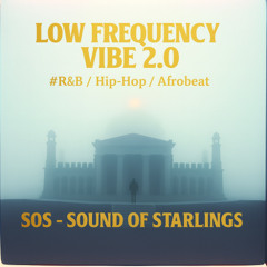 Low Frequency Vibe 2.0  #R&B x Hip-Hop x Afrobeat