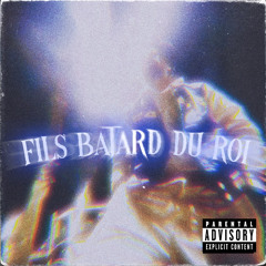 Fils batard du roi