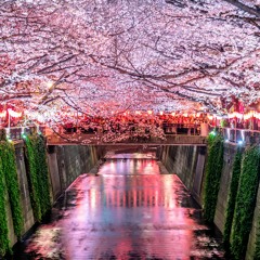 KRVLL1ST - Sakura Season