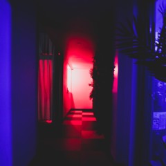 Paradise Archives