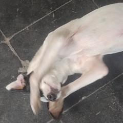 Locura Y Maldad Remix