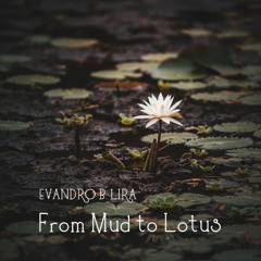 From Mud to Lotus