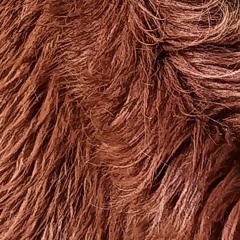 -A Fuzzy Red Guest and a Pink Playful Pal Light Up the Party.mp3