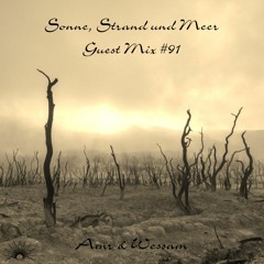Sonne, Strand und Meer Guest Mix #91 by Amr & Wessam