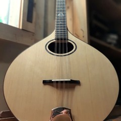 Ziricote & Port Orford cedar Signature Octave Mandolin