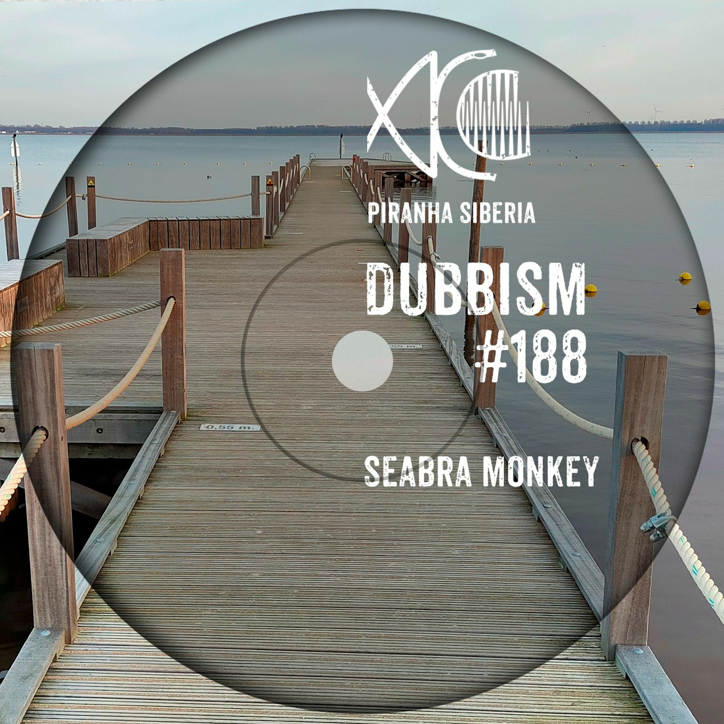 PIRANHA SIBERIA DUB | Dub Techno Label & Podcast