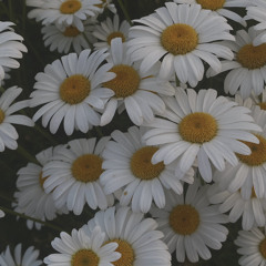 circles
