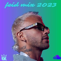 Feid Mix 2023 (Reggaeton)
