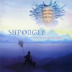 StarShpongled Banner