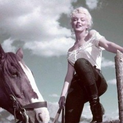 Mitschnitt Nr. 5 (08/25)