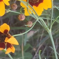 Feel me remix 4/8/2014