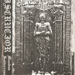 Discrucior - Mundus Subterraneus