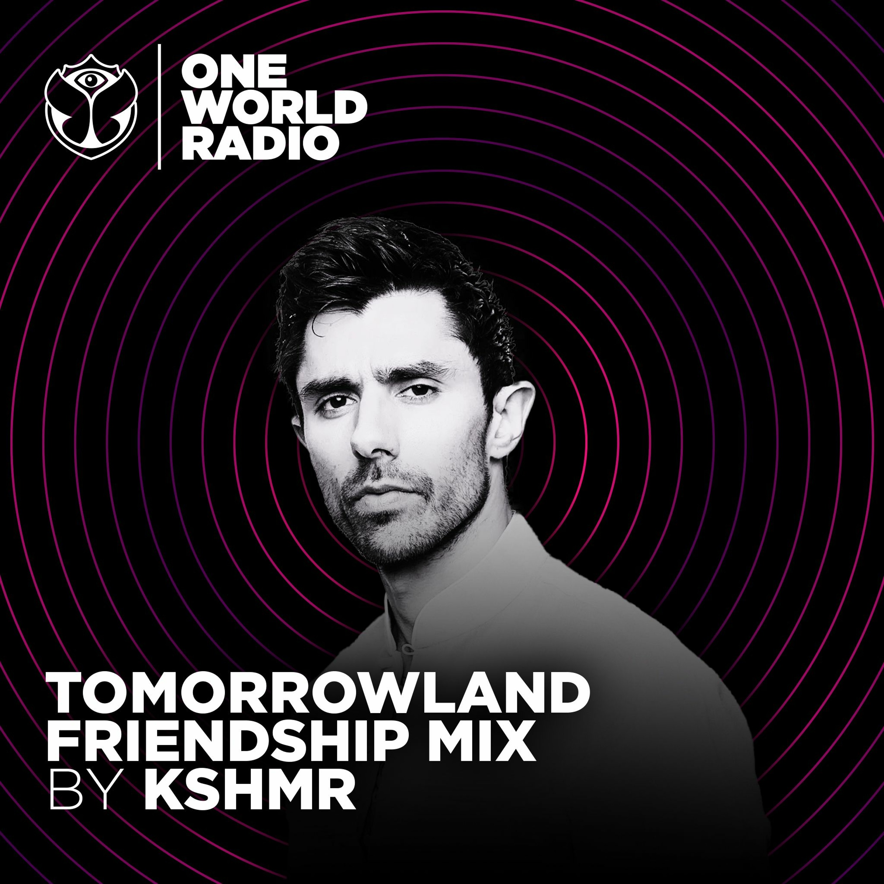 Tomorrowland Friendship Mix