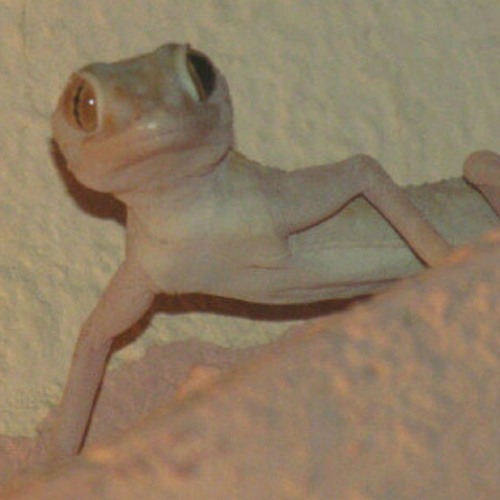 خل يسمعني الميت مني 🕺🤣