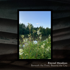 Afternoon Under the Evergreens