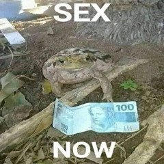 help pls