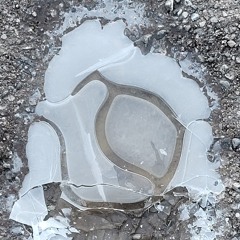 Vihtari Jam 8.11.2025