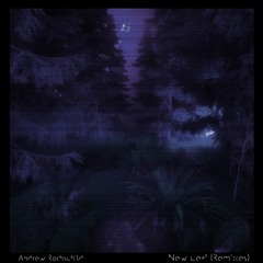 Andrew Rothschild - Seasons (Sebastian Davidson & Cir:cle Remix)