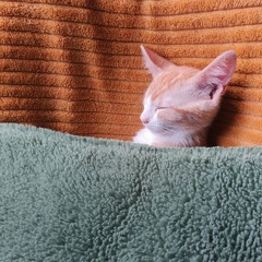 DiscoNova - Chance go by (demo)