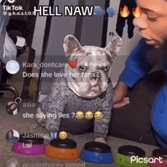 Yapperjj prod lazermade