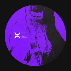 Noah Tauber - Mitsuki EP [Bandcamp Exclusive]