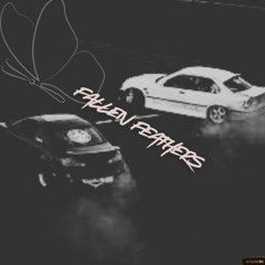 Fallen Feathers