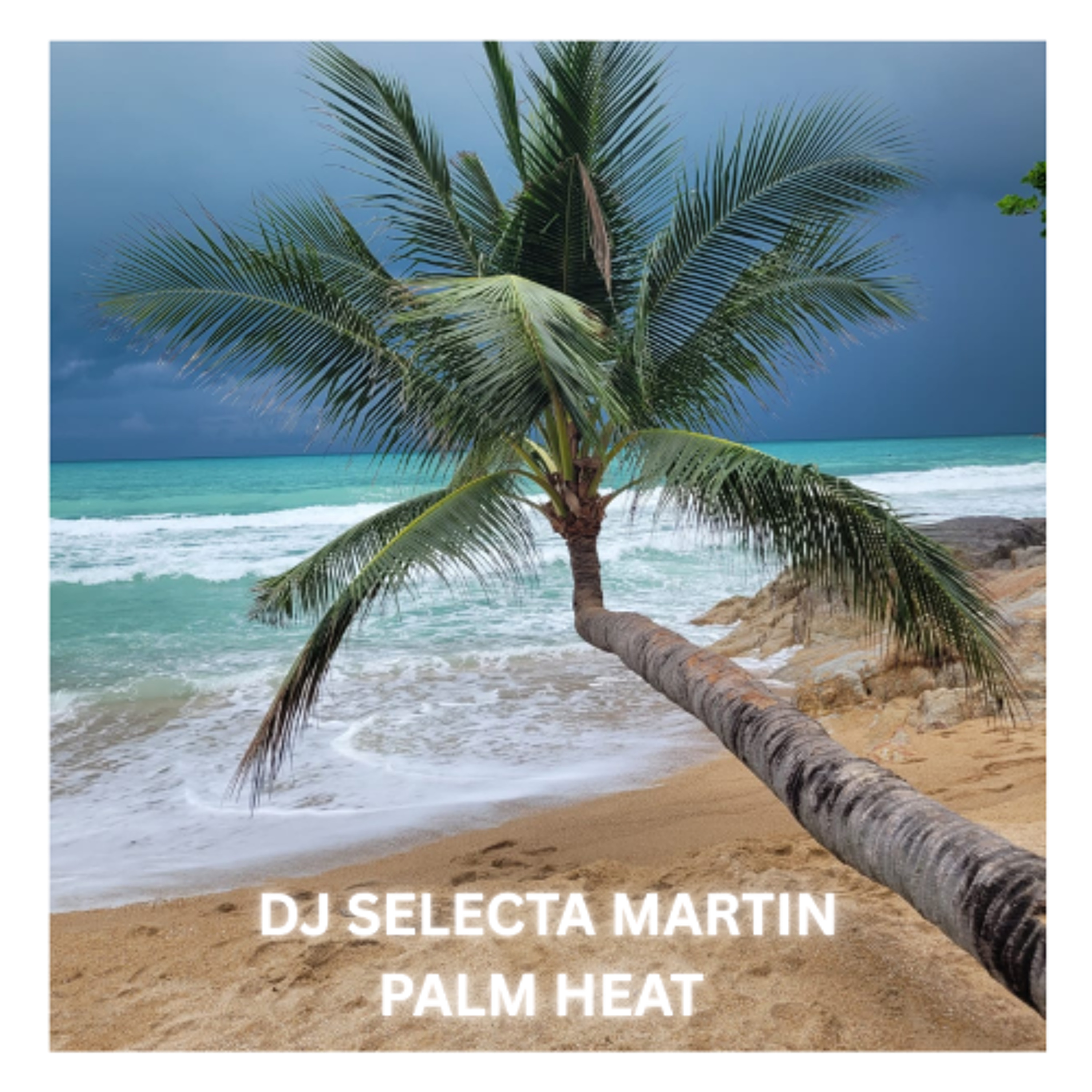 DJ Selecta Martin - Palm Heat (Chill House Mix 2026) episode artwork