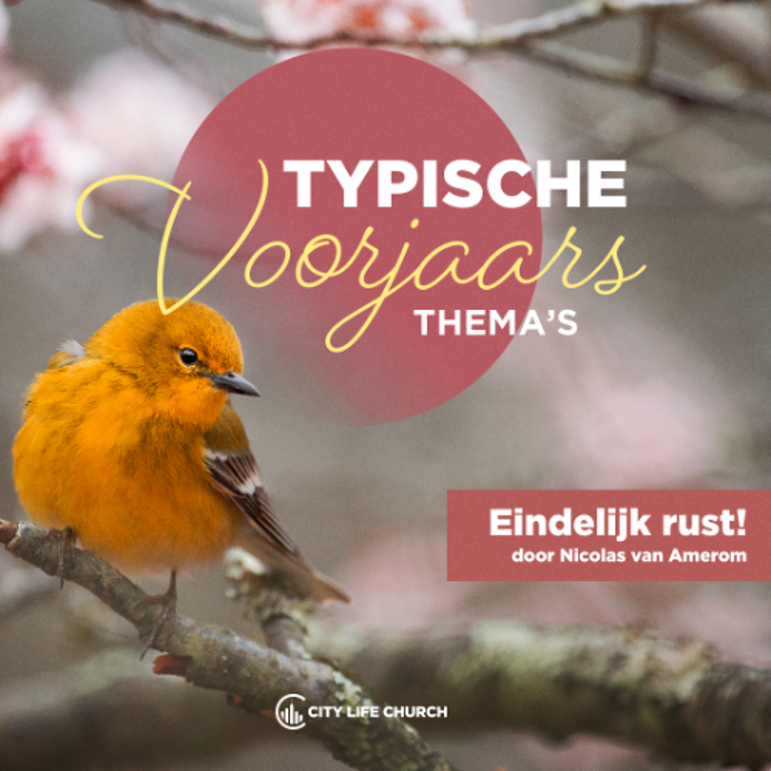 Nicolas van Amerom | Eindelijk rust! (avondmaal) | 05-05-2024 episode artwork