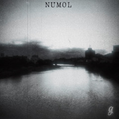 NUMOL